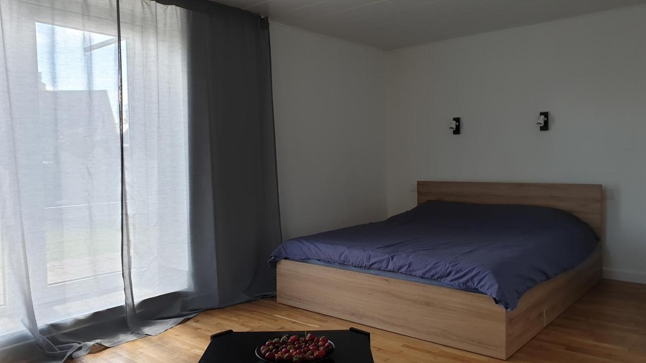 Muziejaus 10 Studija Lägenhet Anykščiai Exteriör bild